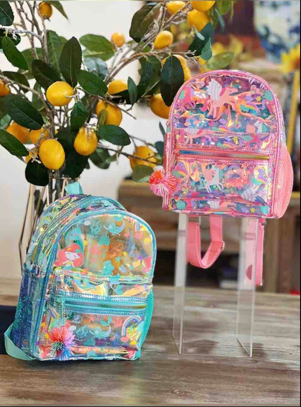 Holographic BackPacks